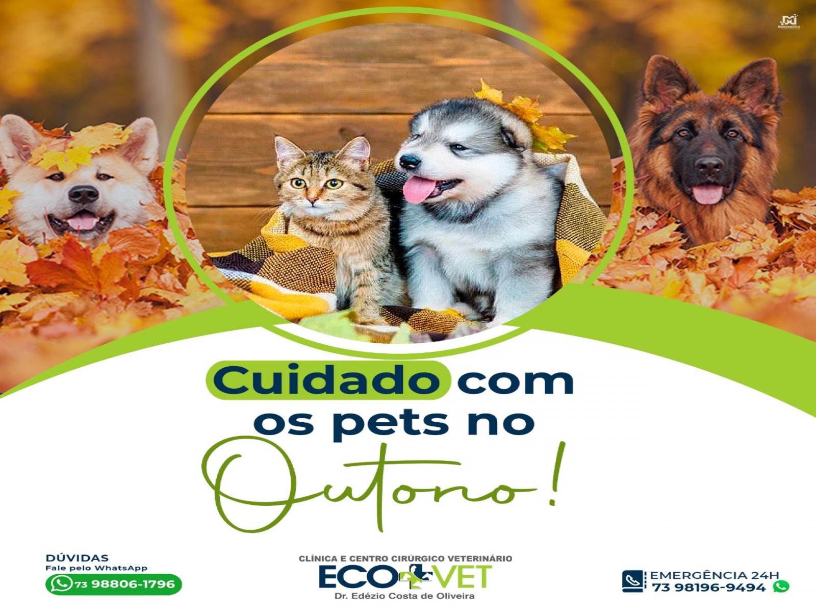 A chegada do outono demanda alguns cuidados específicos com a saúde dos animais.
