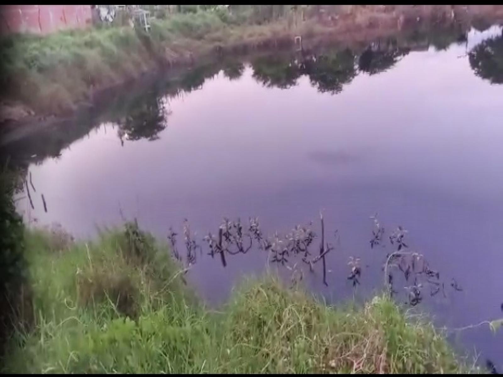 Moradores do Residencial Beira Rio querem o aterramento da lagoa de esgotos