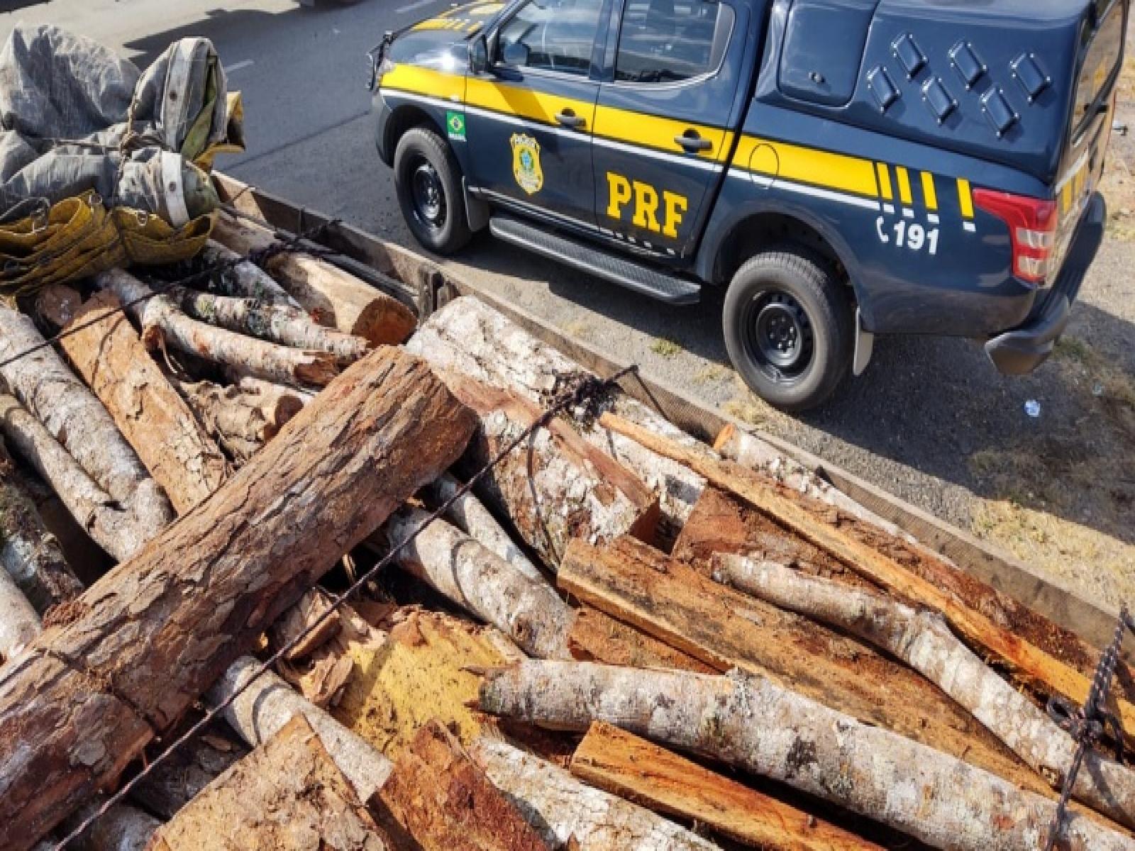 PRF apreende carga de madeira clandestina na BR 330
