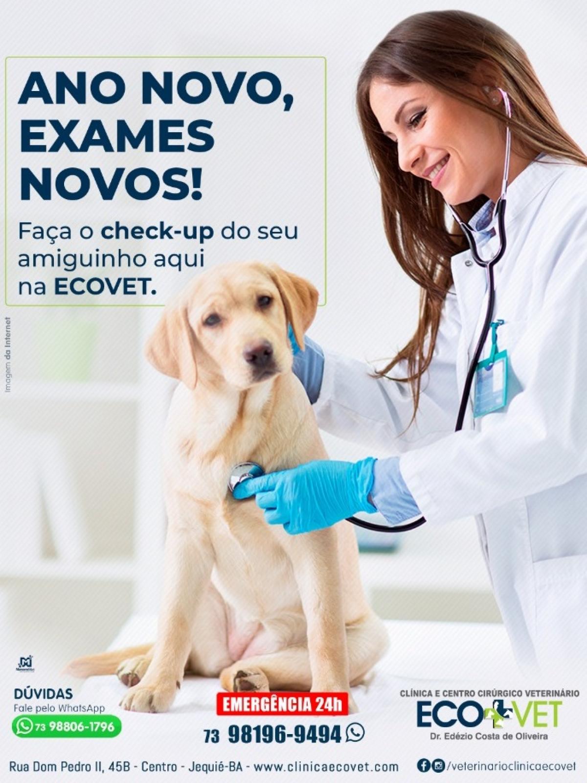 Atenção para a saúde canina!