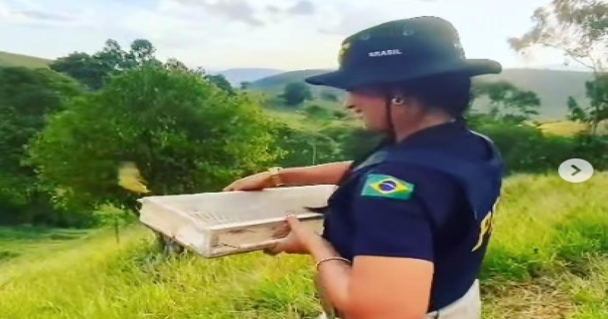 PRF e INEMA realizaram a soltura de 300 pássaros apreendidos durante operação em Jequié