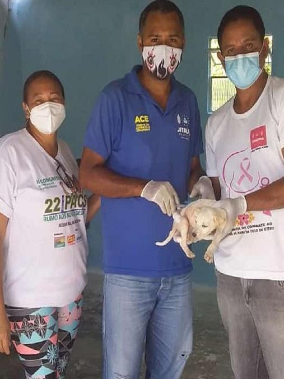Campanha de vacinação de cães e gatos ocorreu na Zona Rural de Jitaúna