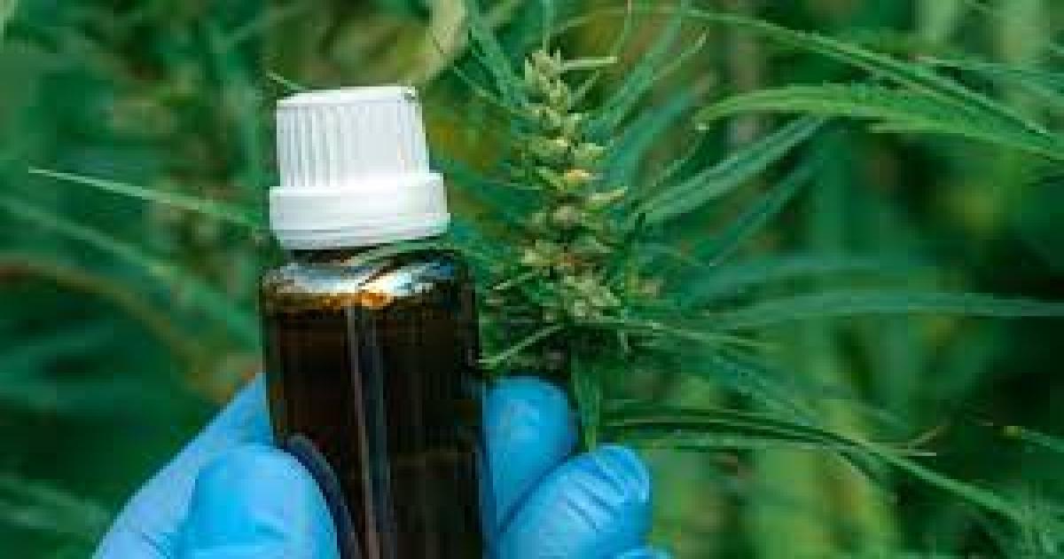 Estado da Bahia terá que fornecer medicamento à base de canabidiol para criança de 5 anos com epilepsia de difícil controle