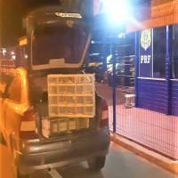 Pedreiro levava pássaros de Poções para serem vendidos em Jequié