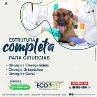 Ecovet tem a melhor estrutura para cirurgia do seu pet