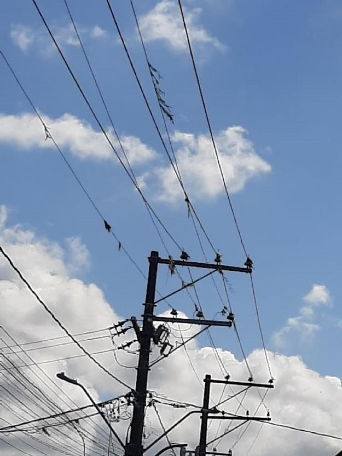 INTERRUPÇÕES DE ENERGIA CAUSADAS POR PIPAS AUMENTAM 141% E COELBA FAZ ALERTA DE SEGURANÇA