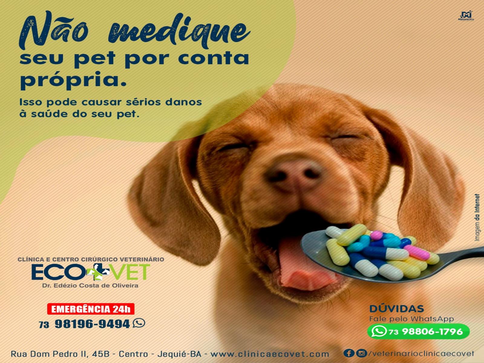 Ecovet informa dos perigos em medicar seu pet por conta própria