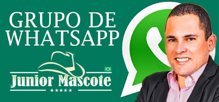 Grupo Whatsapp Junior Mascote